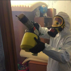 Уничтожение клопов в квартире. Серпухов